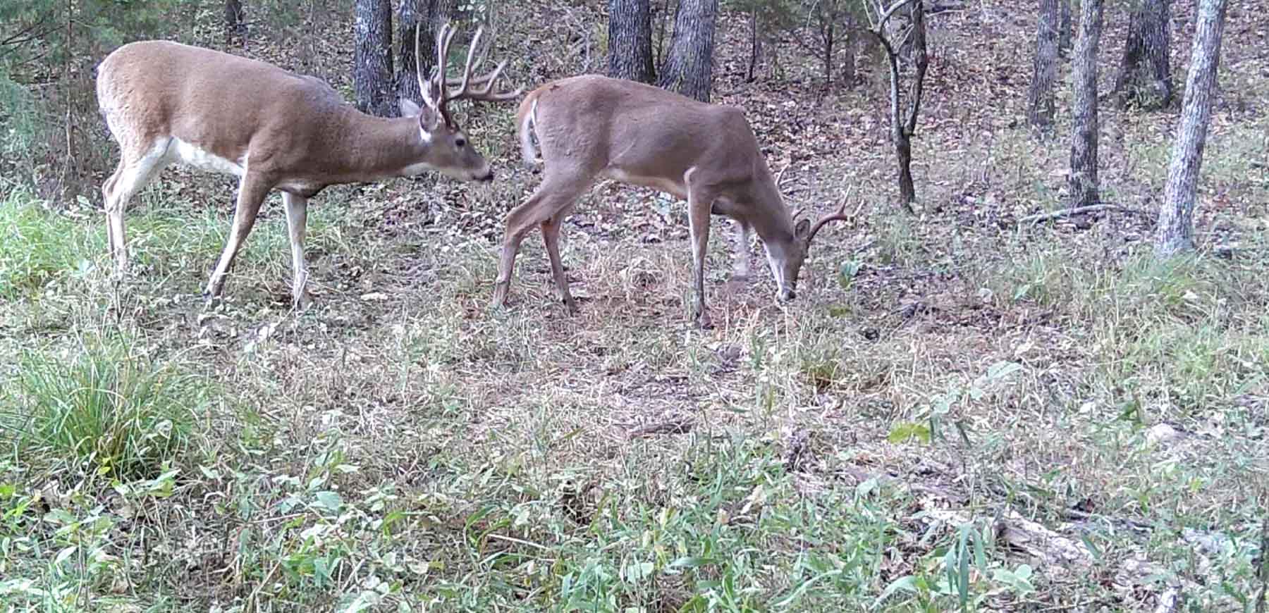 Bird Creek Crossing property picture 75 of 90