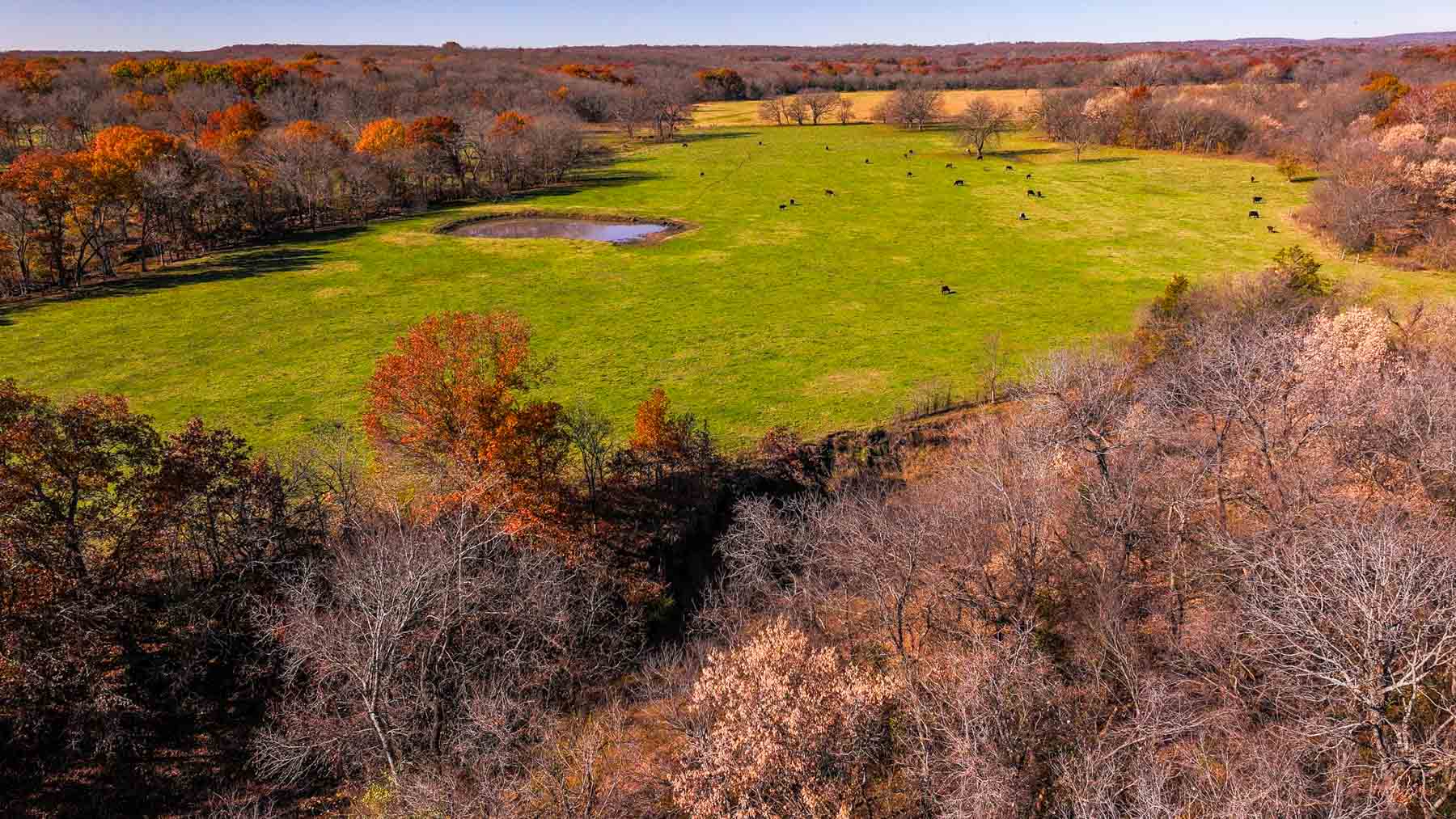 Bird Creek Crossing property picture 69 of 90