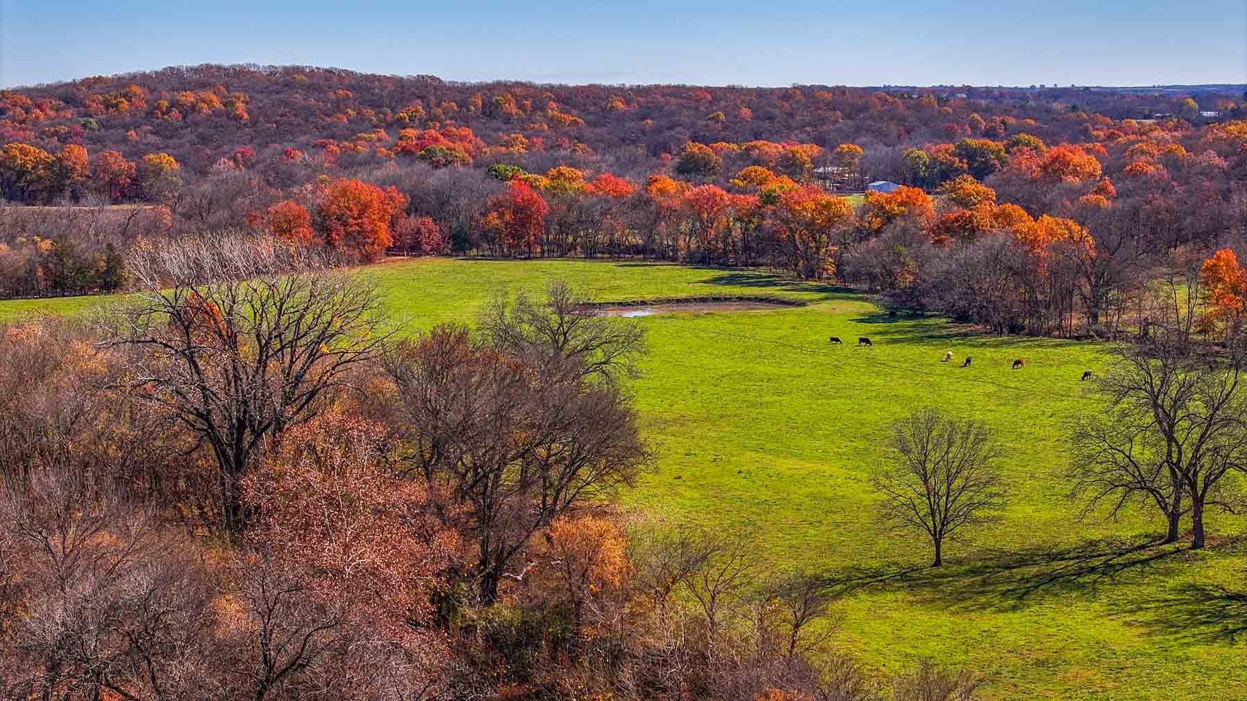 Bird Creek Crossing property picture 34 of 90