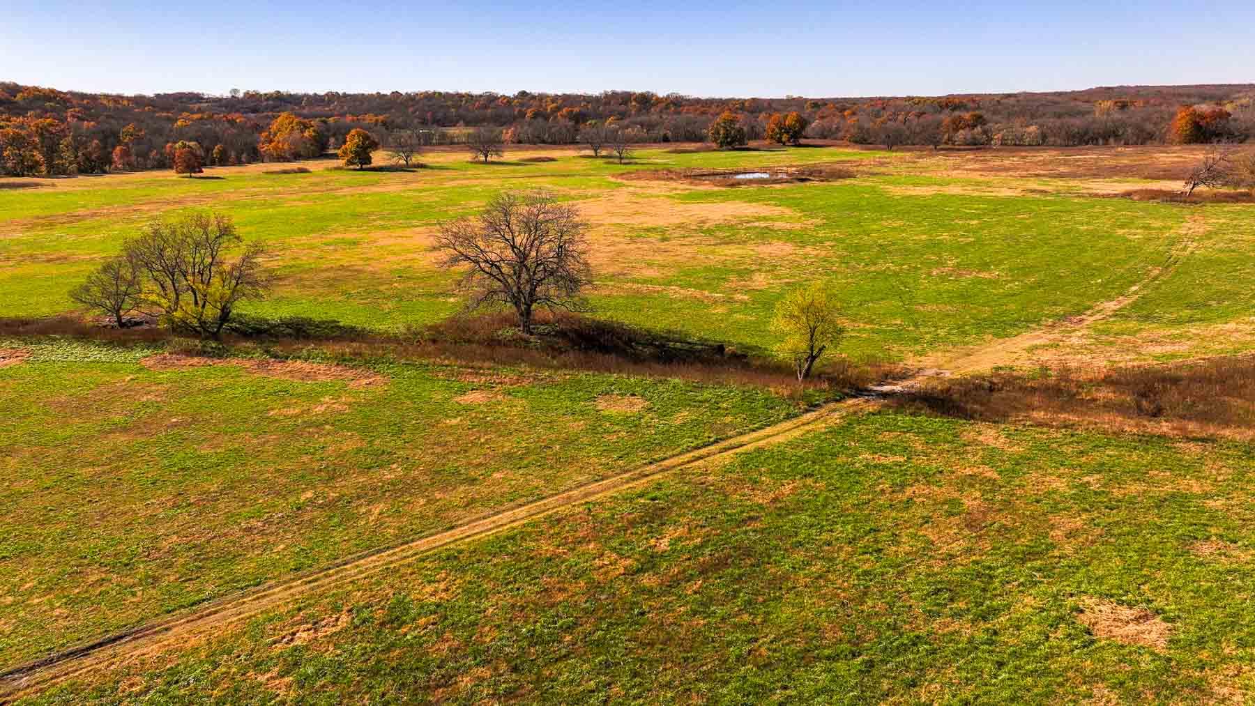 Bird Creek Crossing property picture 79 of 90