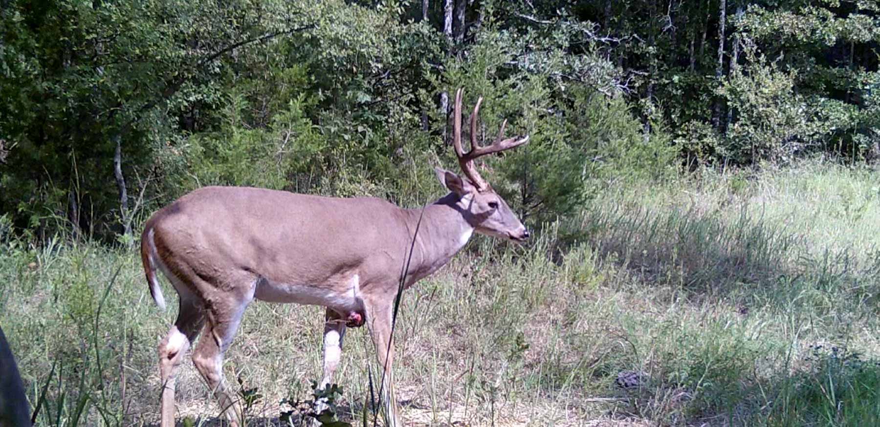 Bird Creek Crossing property picture 57 of 90