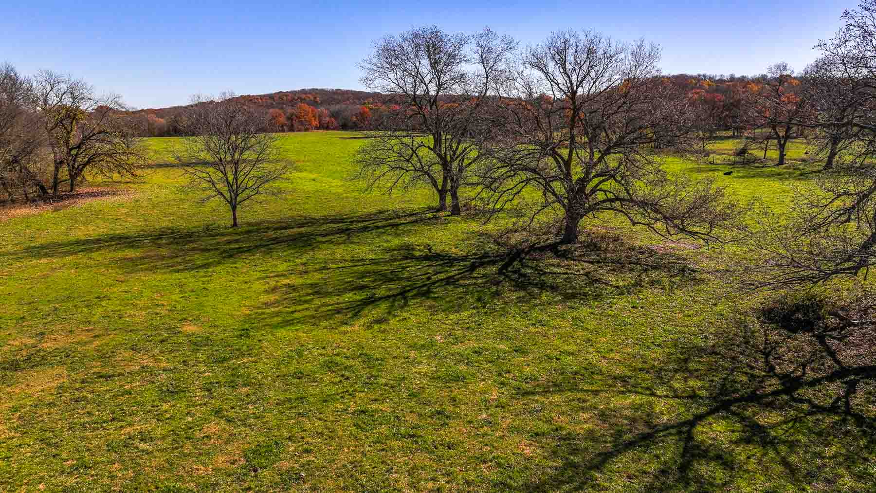 Bird Creek Crossing property picture 81 of 90