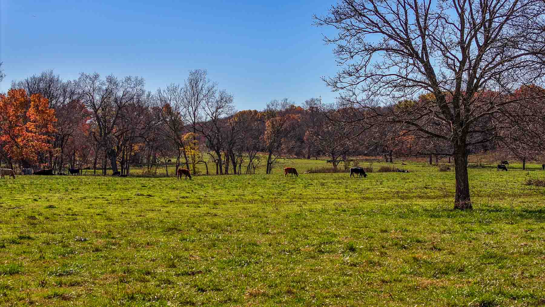 Bird Creek Crossing property picture 64 of 90