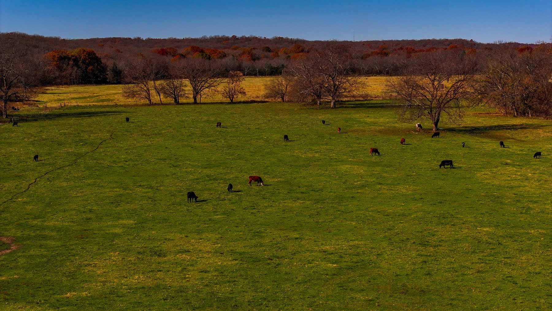 Bird Creek Crossing property picture 39 of 90