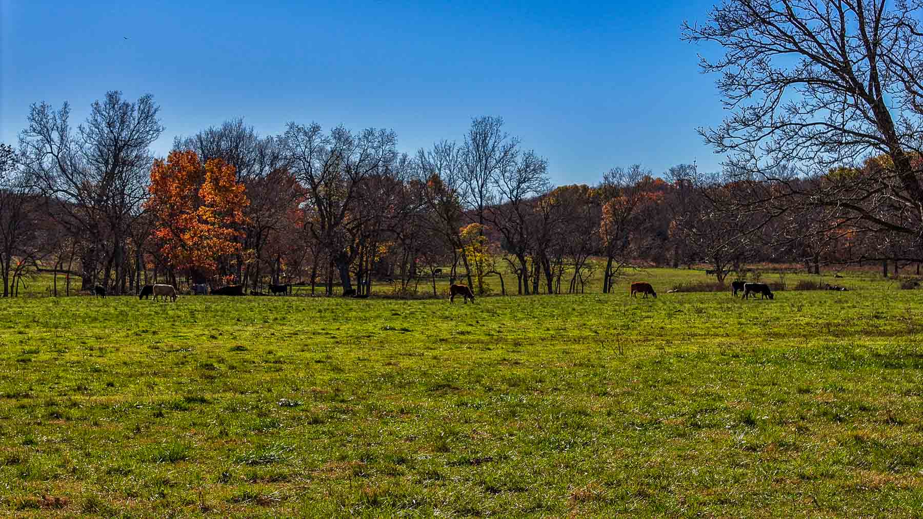 Bird Creek Crossing property picture 37 of 90