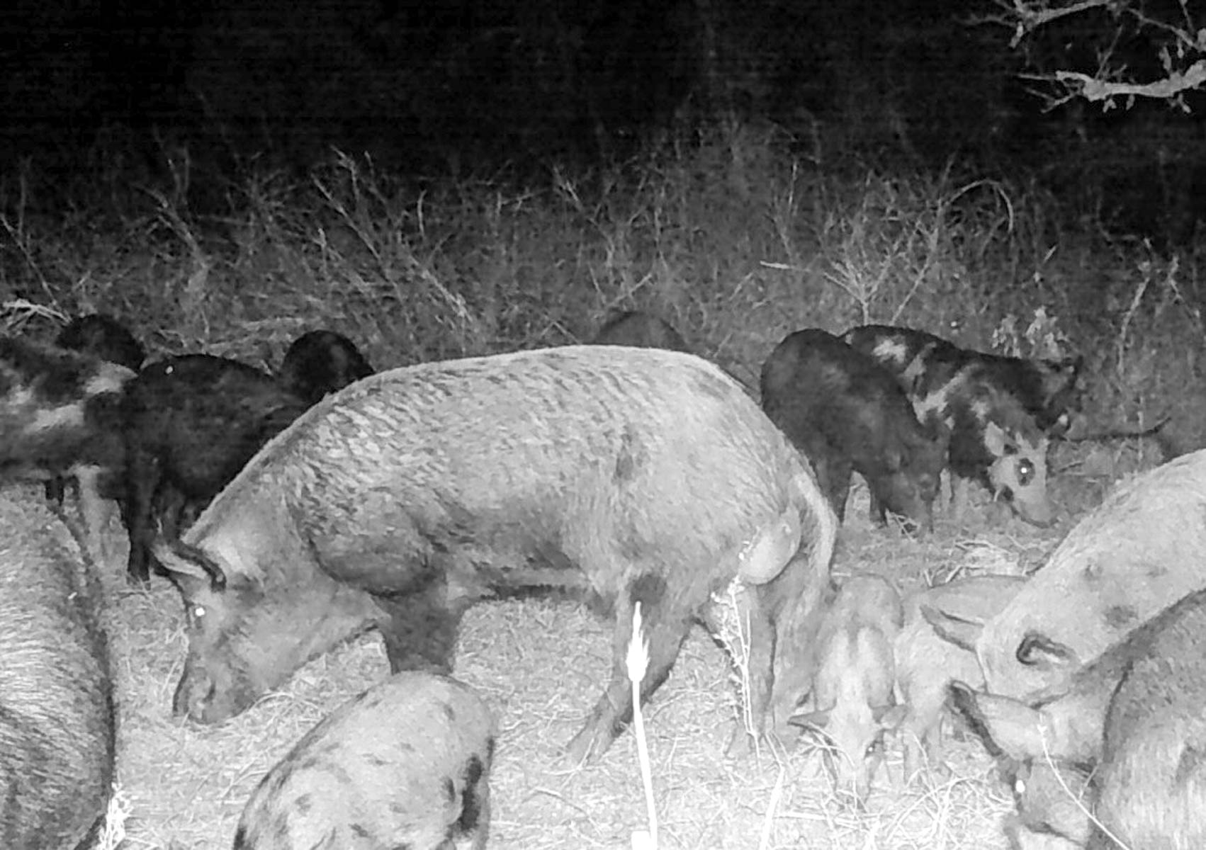 Bird Creek Crossing property picture 10 of 90