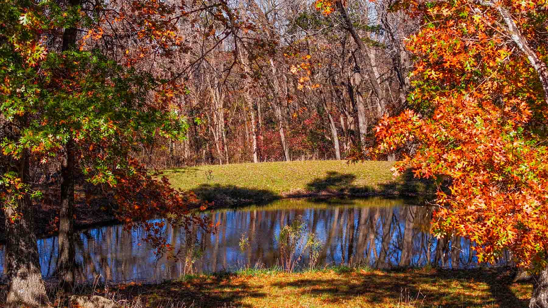 Bird Creek Crossing property picture 33 of 90