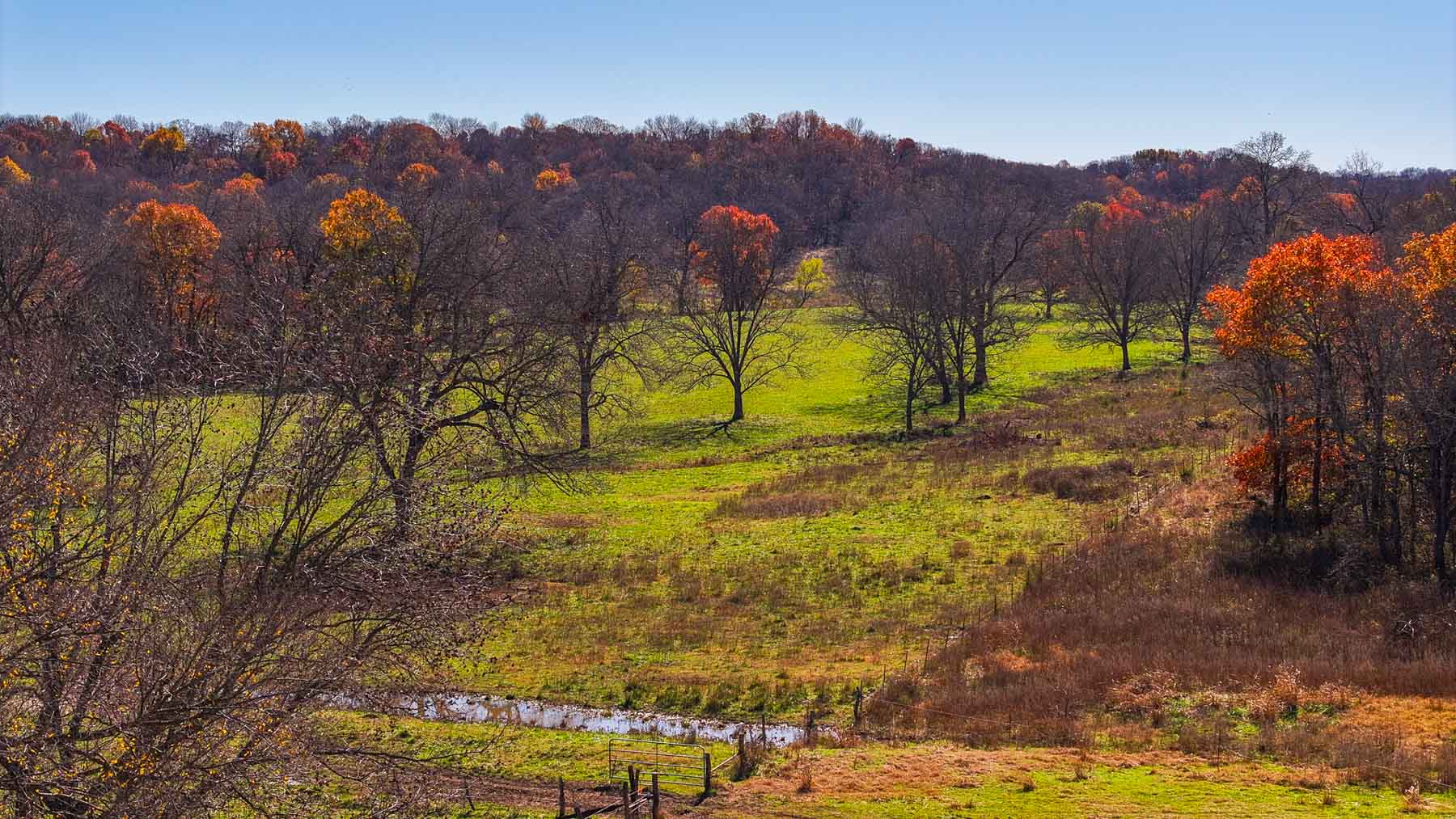 Bird Creek Crossing property picture 51 of 90