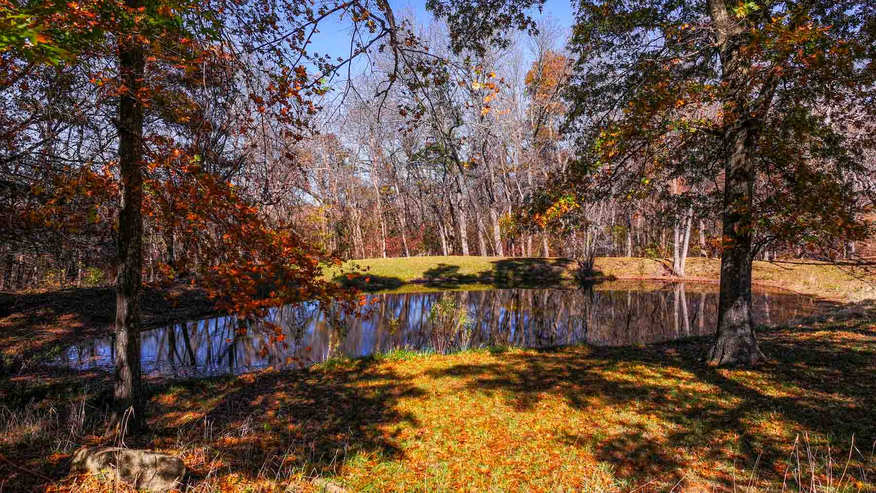 Bird Creek Crossing property picture 66 of 90