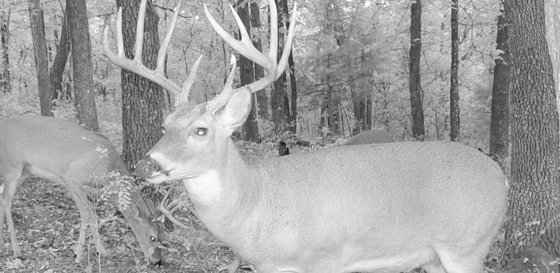 Bird Creek Crossing property picture 87 of 90