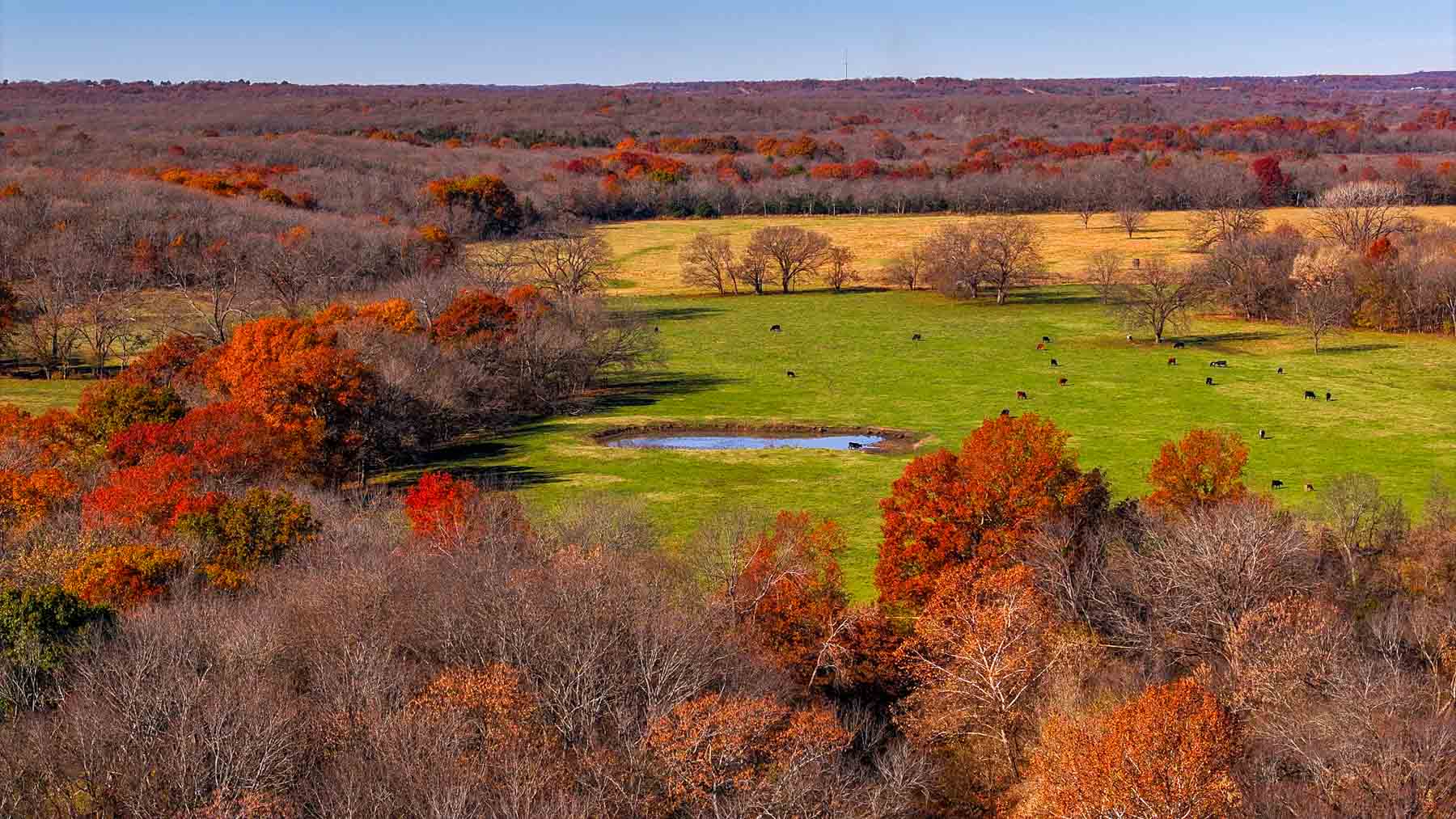 Bird Creek Crossing property picture 80 of 90