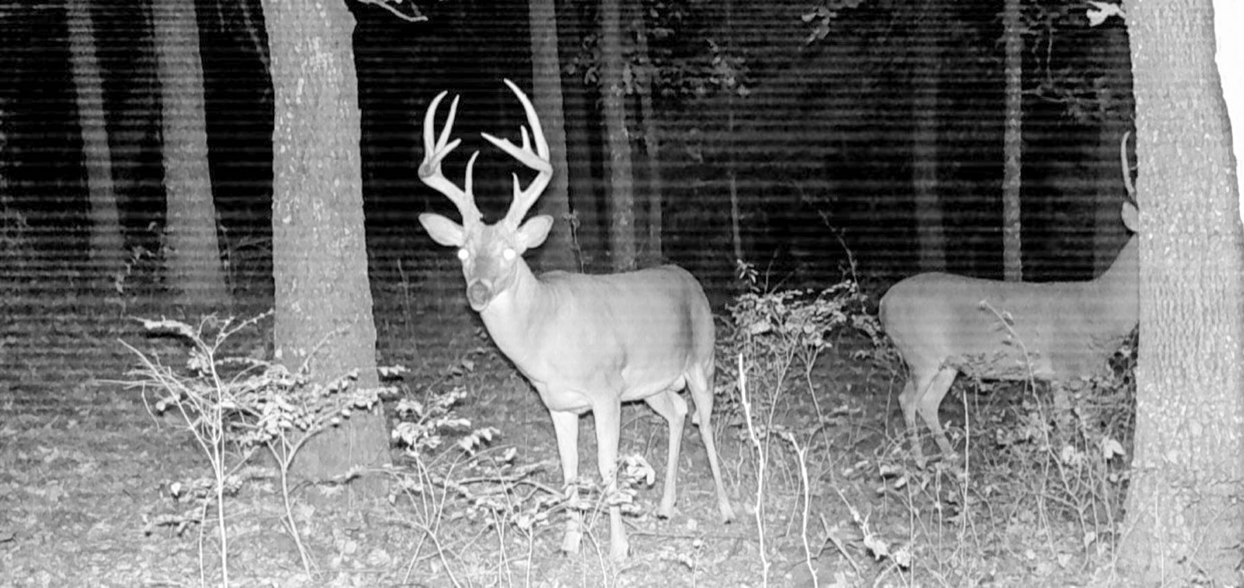 Bird Creek Crossing property picture 88 of 90