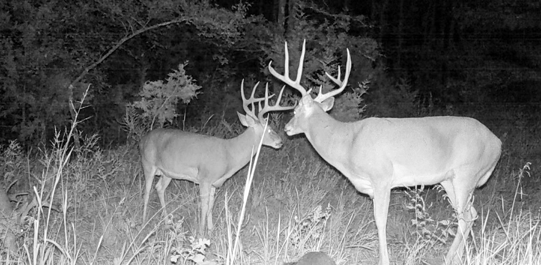 Bird Creek Crossing property picture 58 of 90