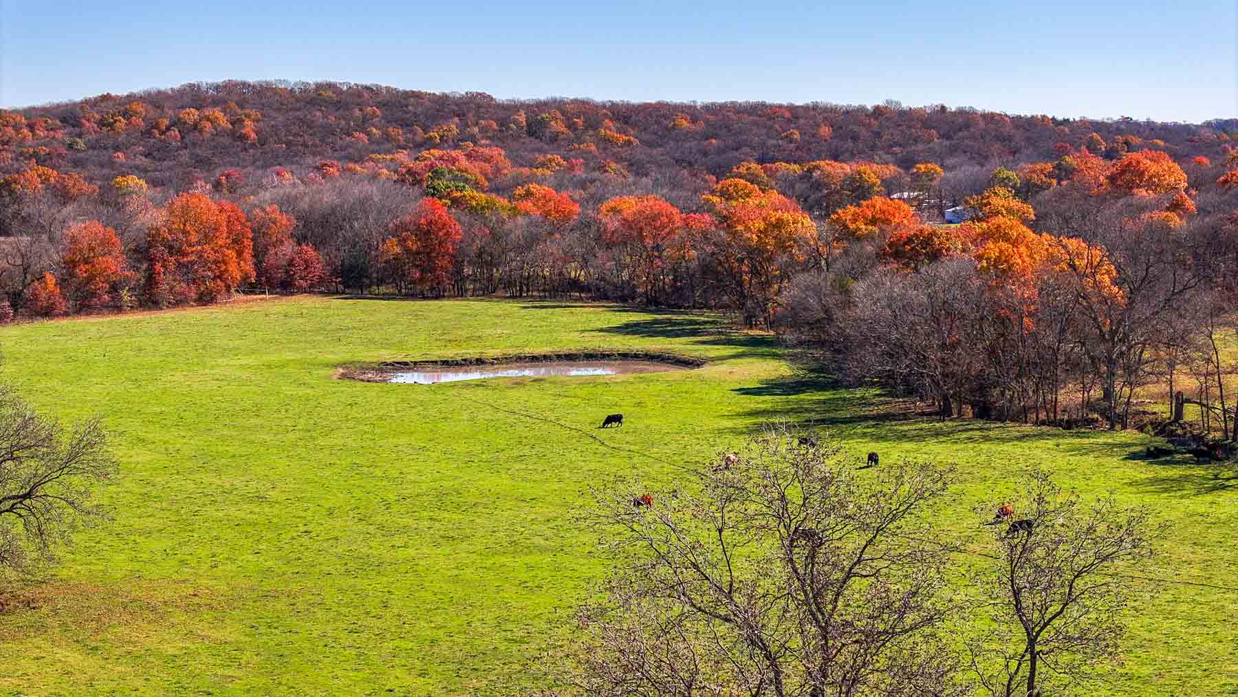 Bird Creek Crossing property picture 7 of 90