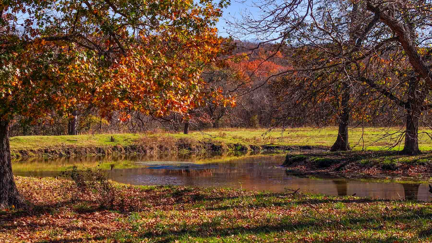 Bird Creek Crossing property picture 61 of 90