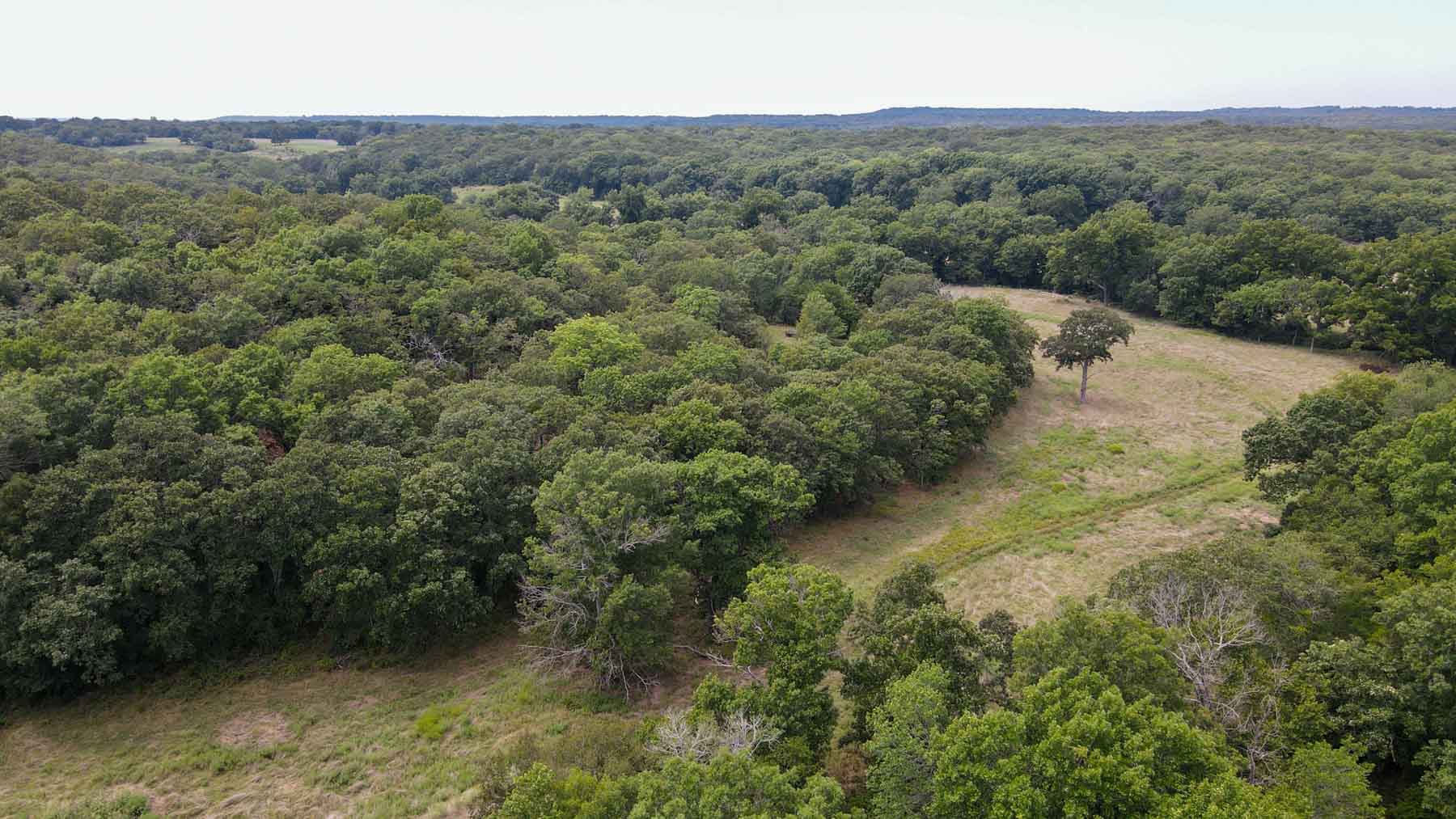 Bird Creek Crossing property picture 45 of 90