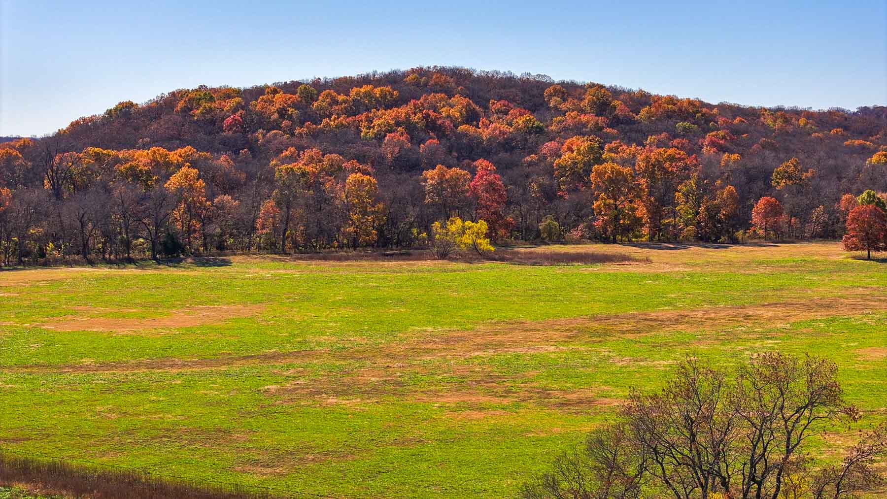 Bird Creek Crossing property picture 56 of 90