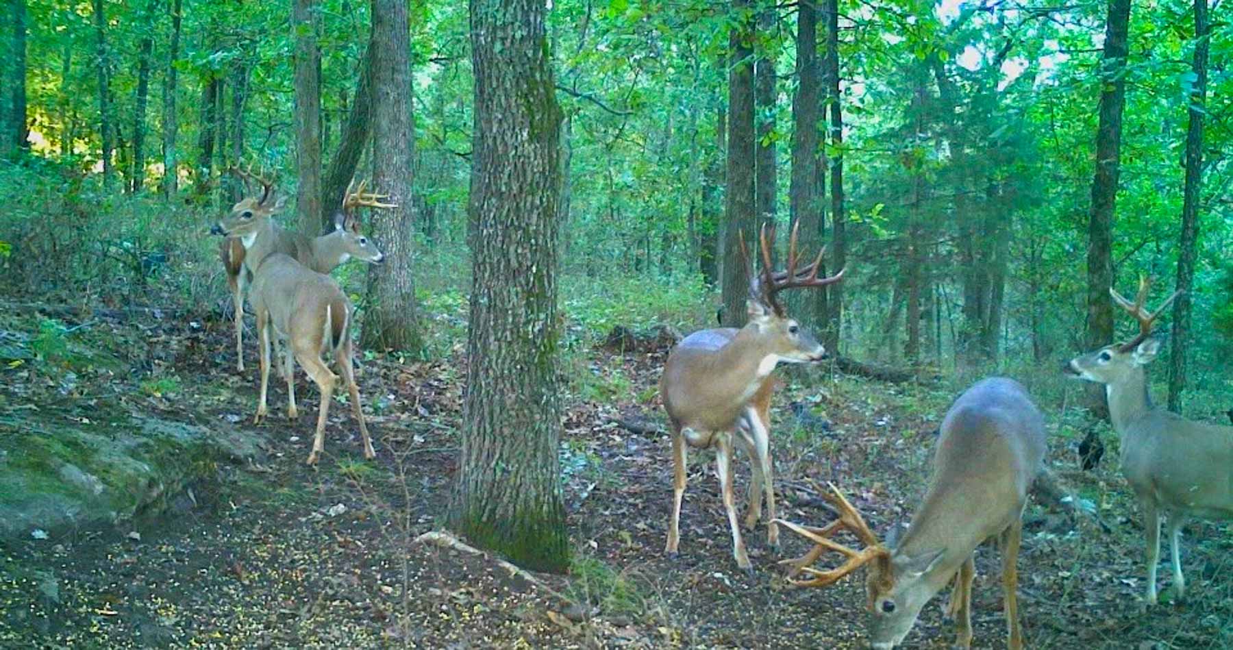 Bird Creek Crossing property picture 76 of 90