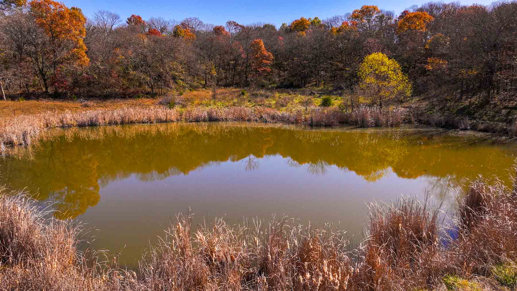 Bird Creek Crossing property picture 23 of 90