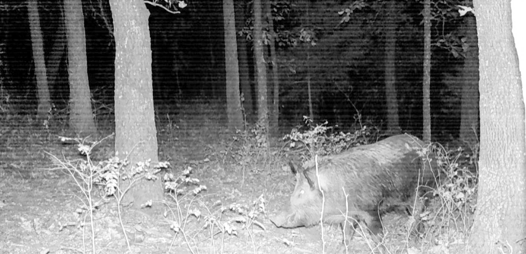 Bird Creek Crossing property picture 32 of 90