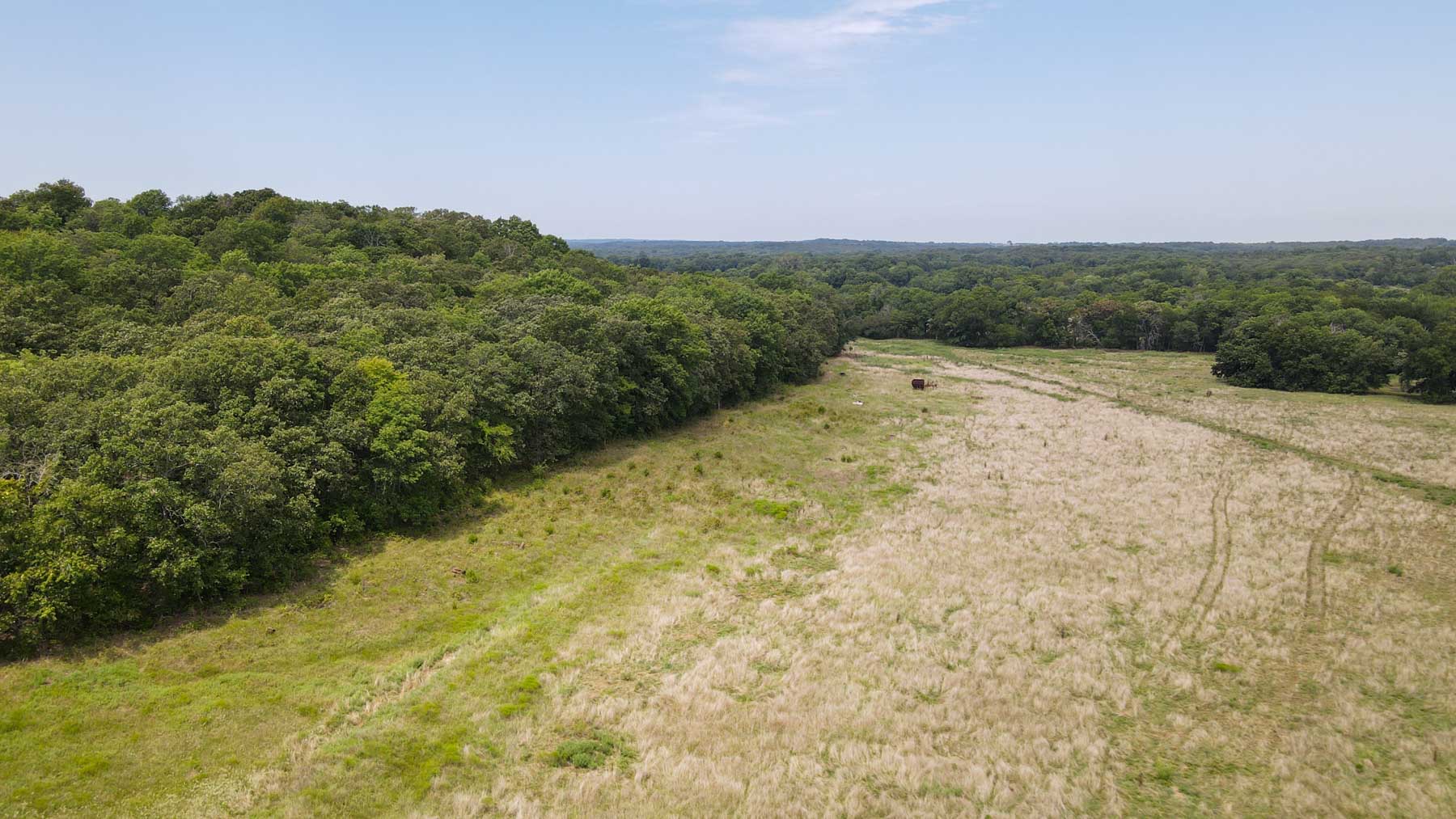 Bird Creek Crossing property picture 30 of 90