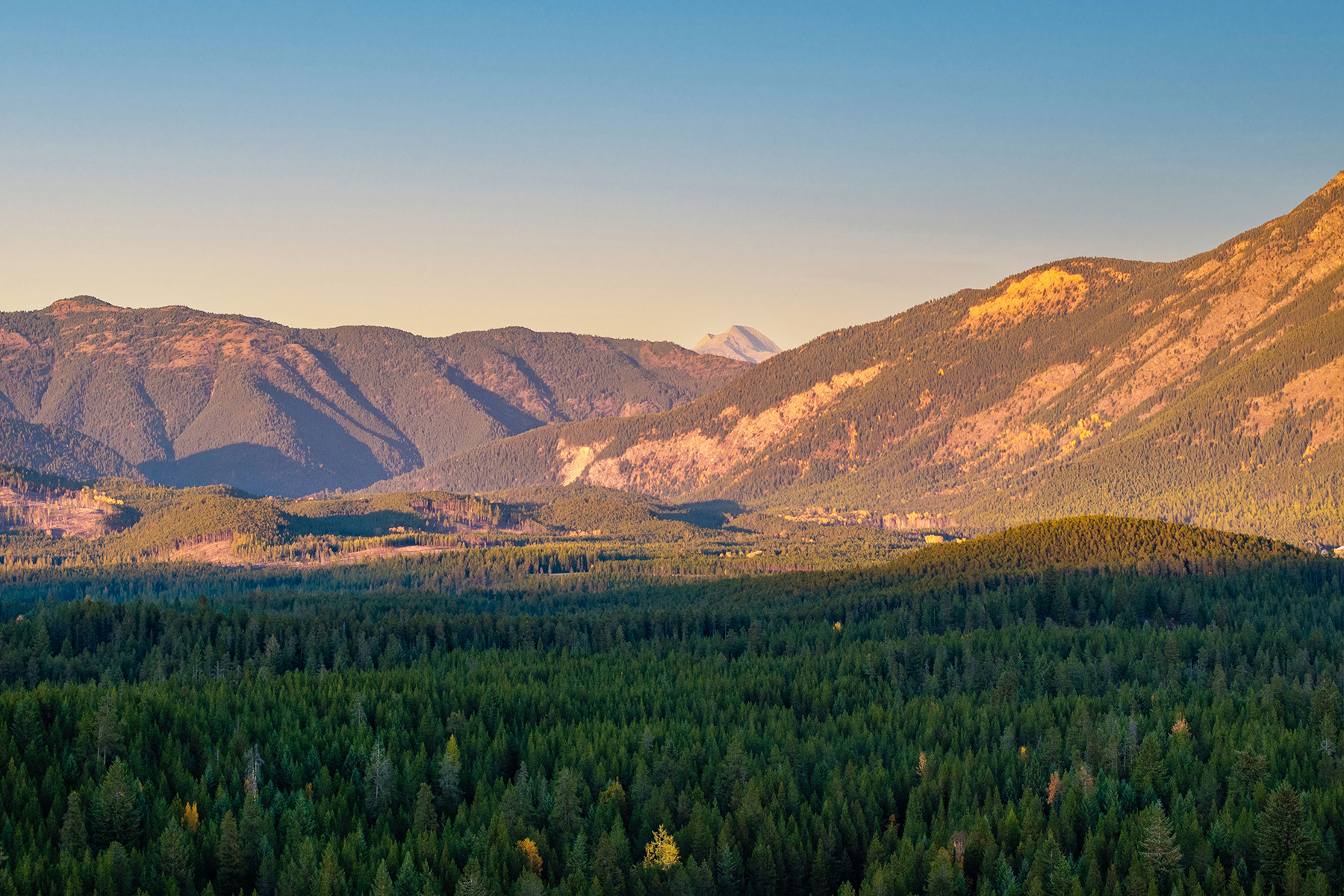 Green Valley Ranch property picture 89 of 99