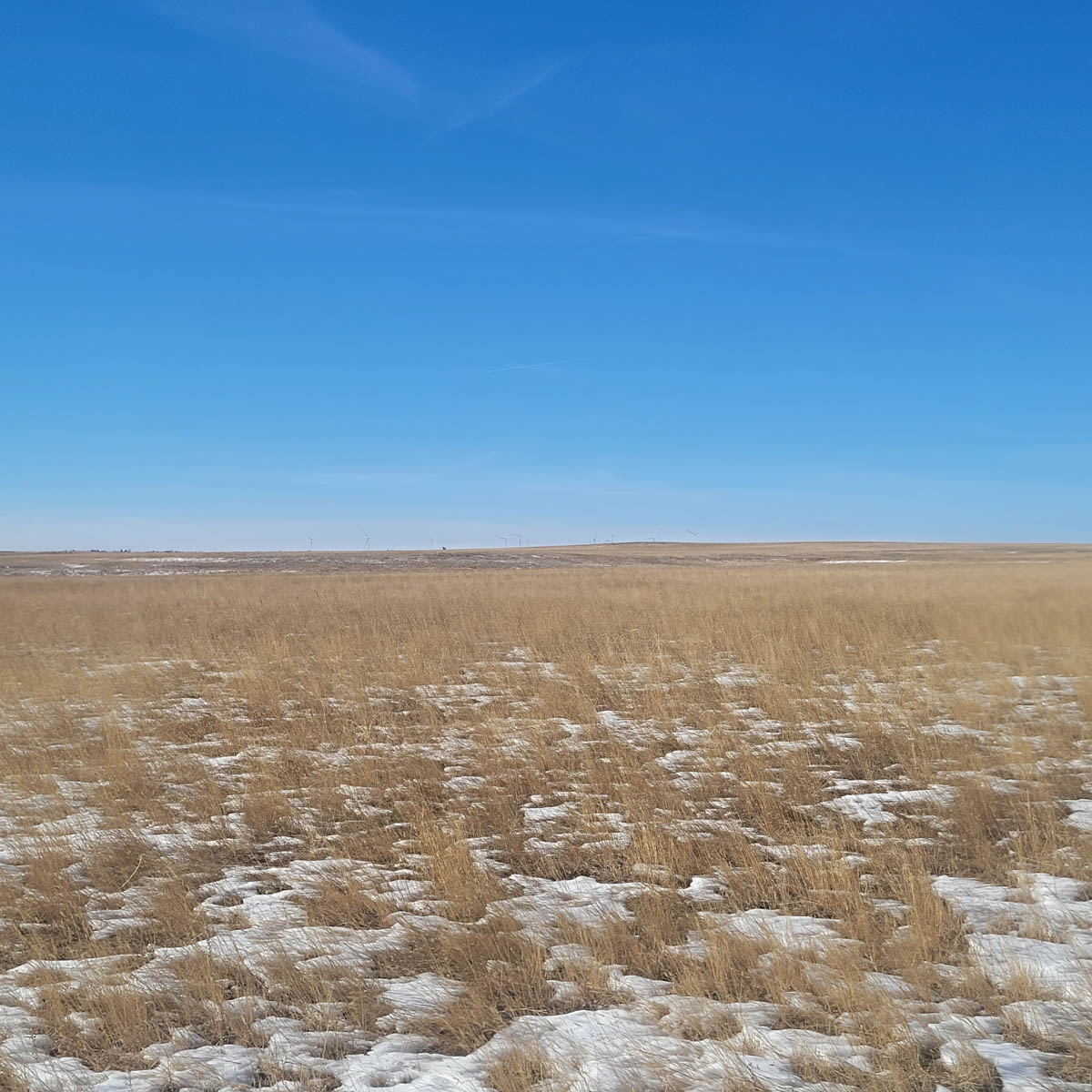 Pryor Ranch property picture 6 of 19