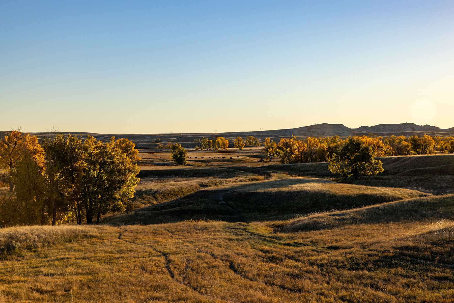 Dakota Partnership Ranch property picture 32 of 61