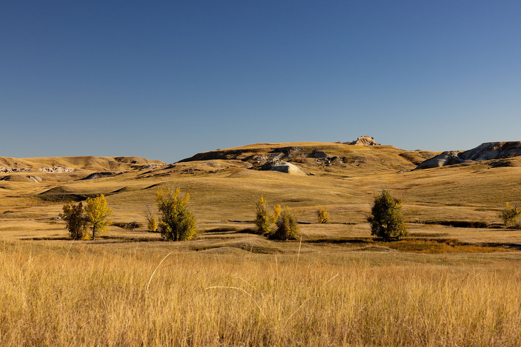 Dakota Partnership Ranch property picture 28 of 61