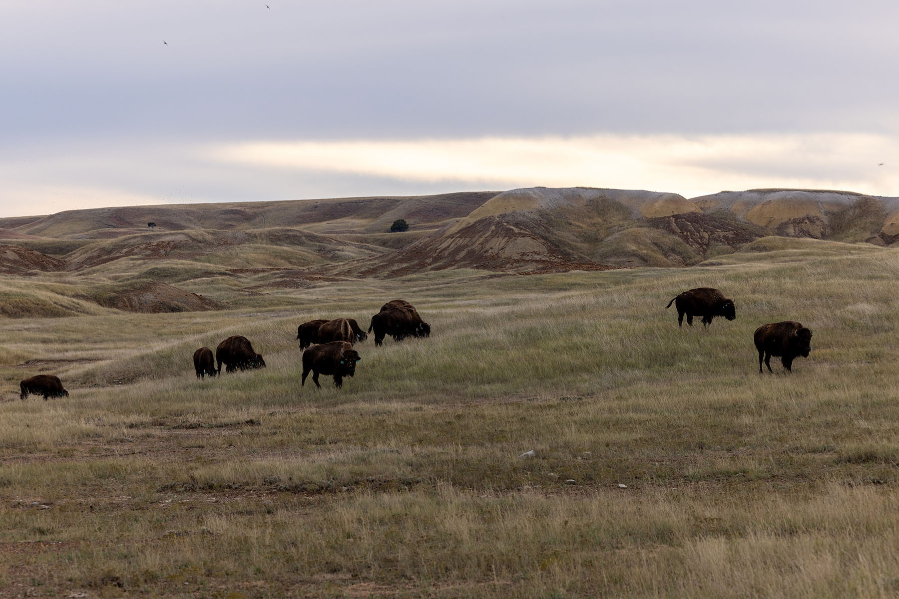 Dakota Partnership Ranch property picture 48 of 61