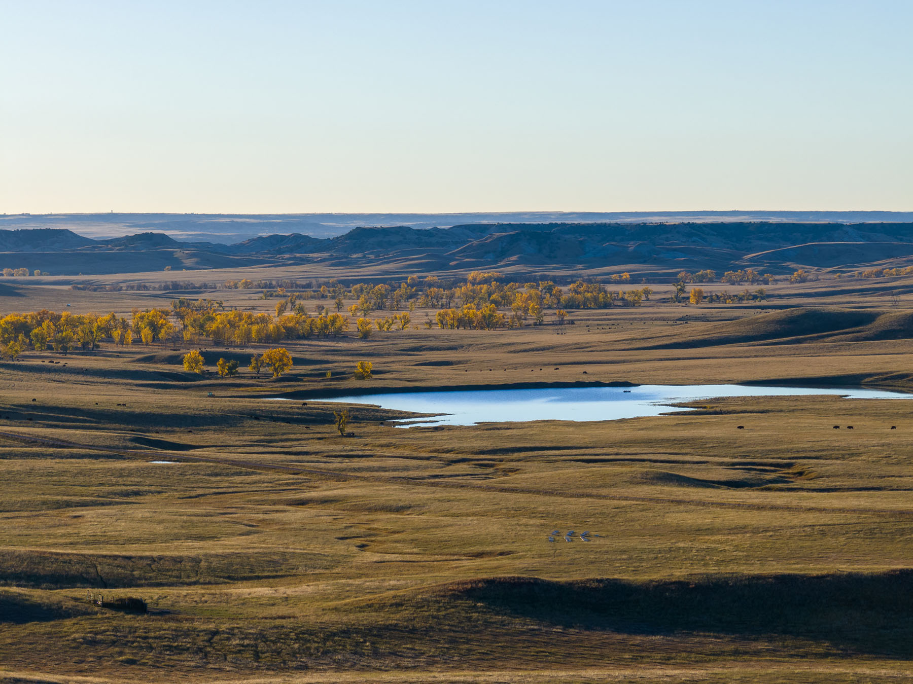 Dakota Partnership Ranch property picture 7 of 61