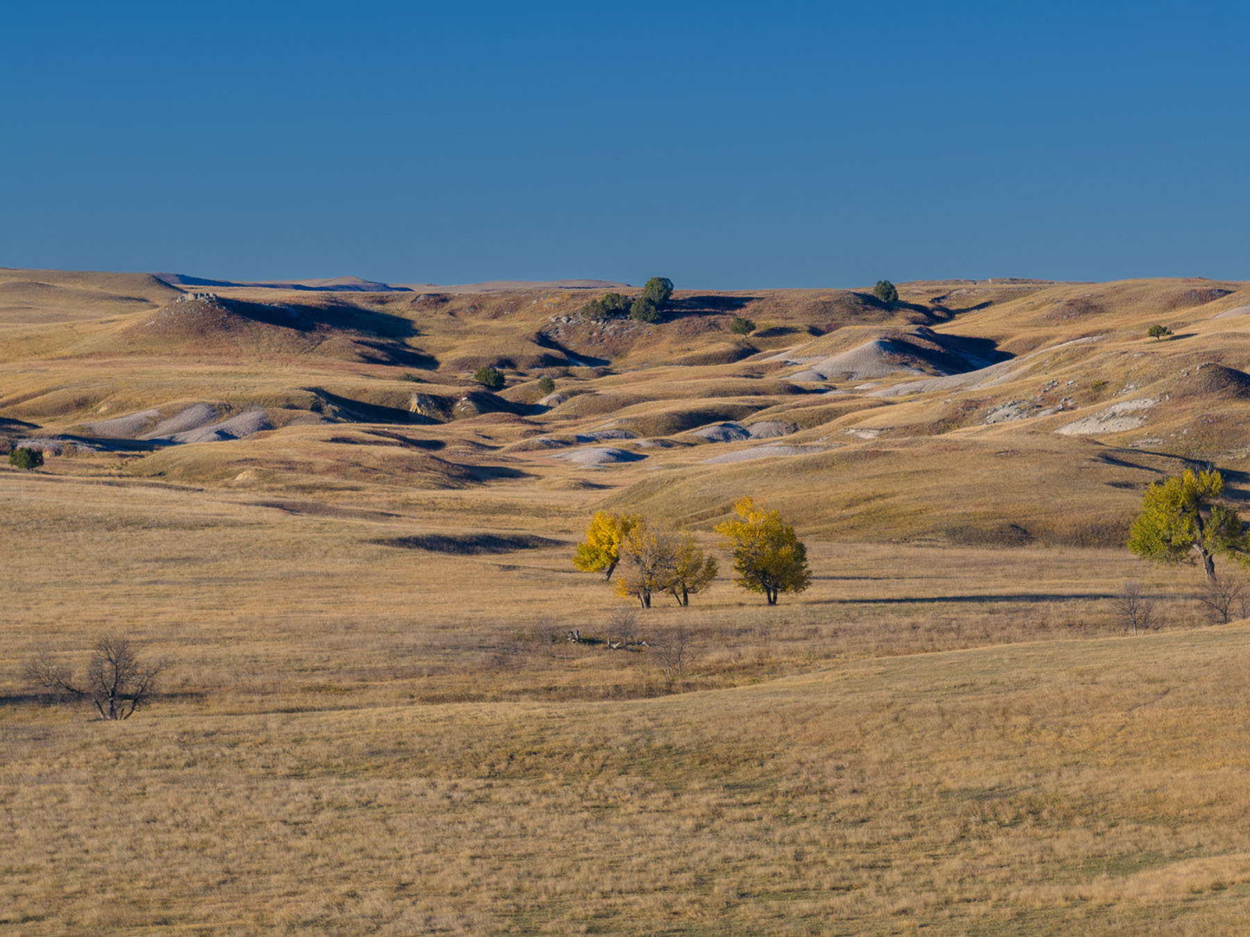 Dakota Partnership Ranch property picture 23 of 61