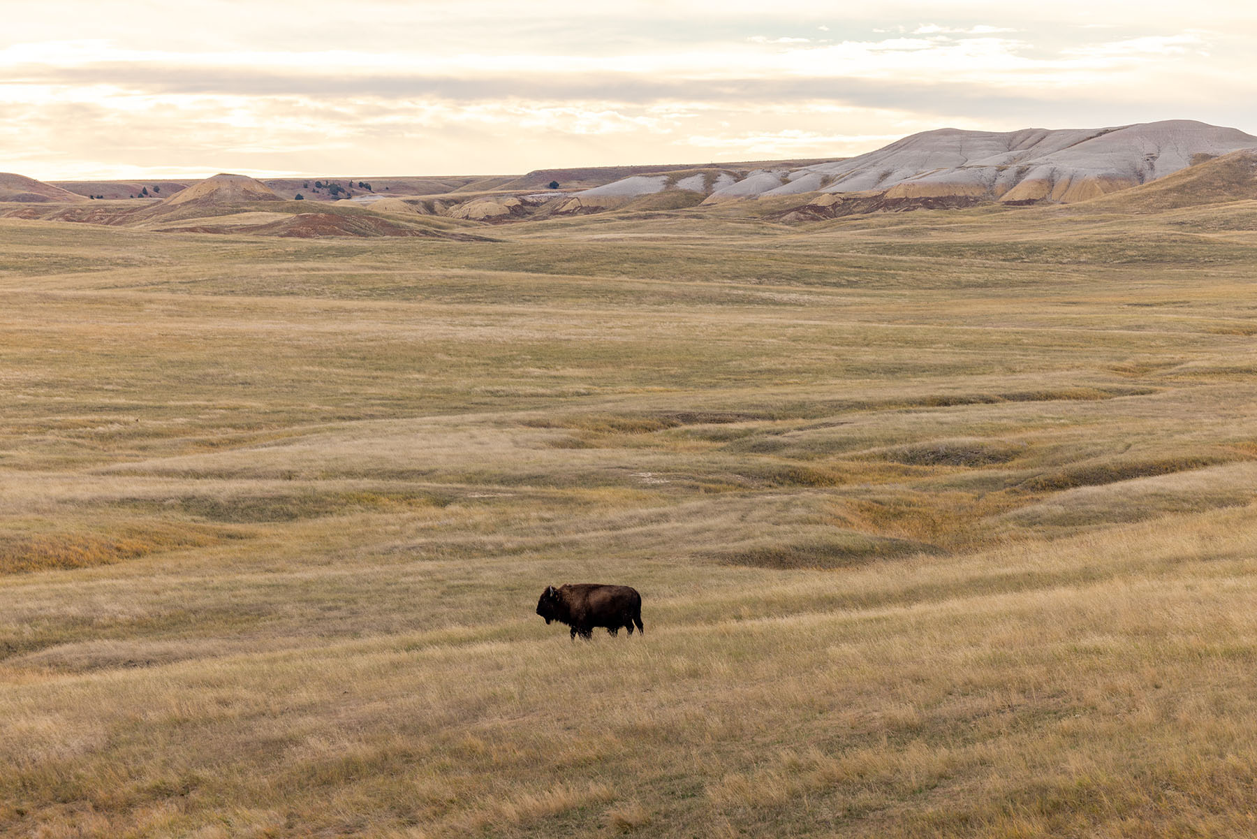 Dakota Partnership Ranch property picture 21 of 61