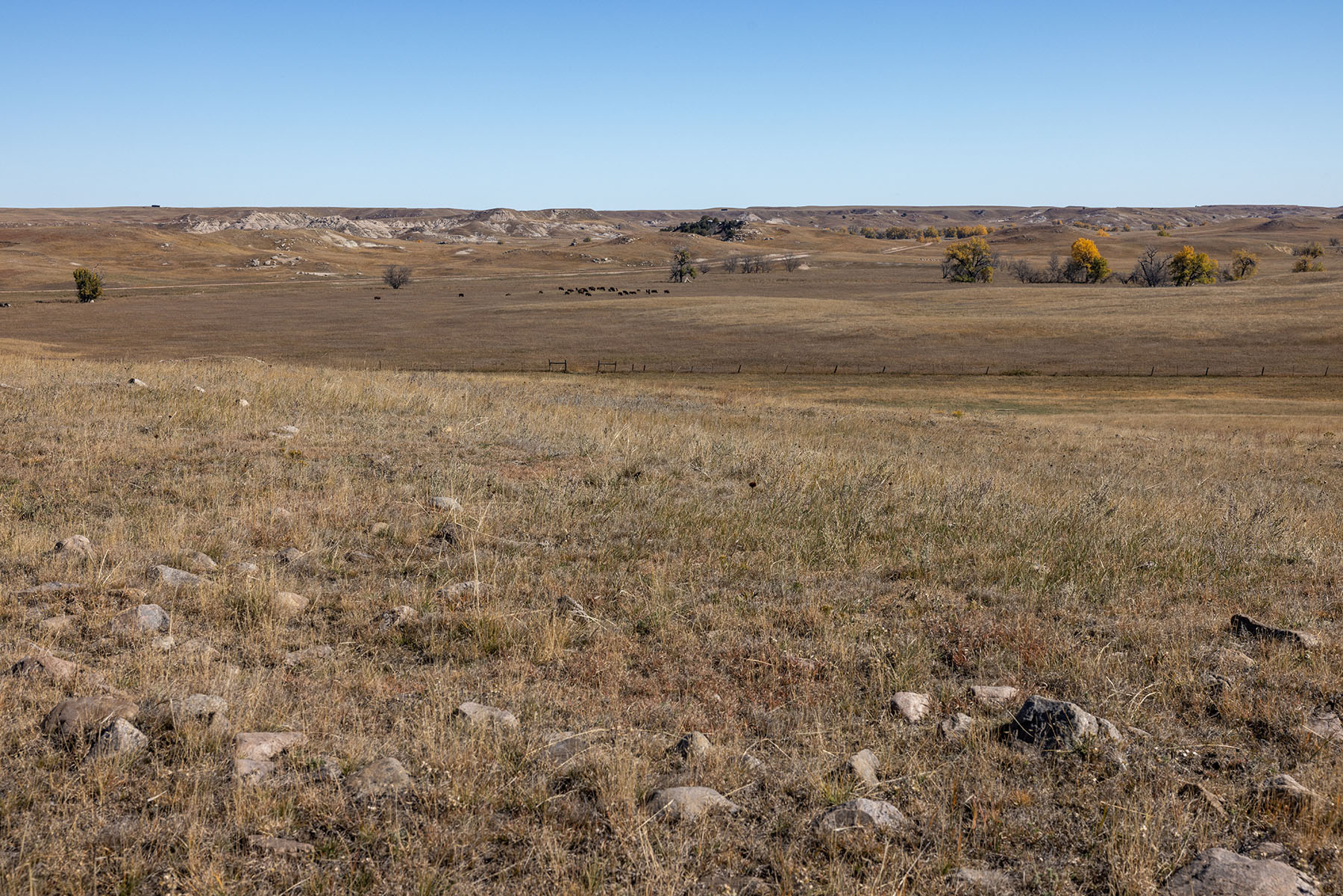 Dakota Partnership Ranch property picture 44 of 61