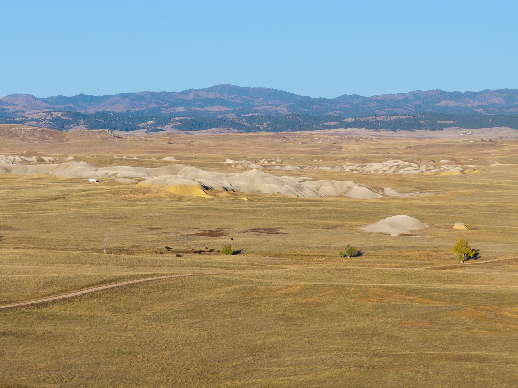 Dakota Partnership Ranch property picture 24 of 61