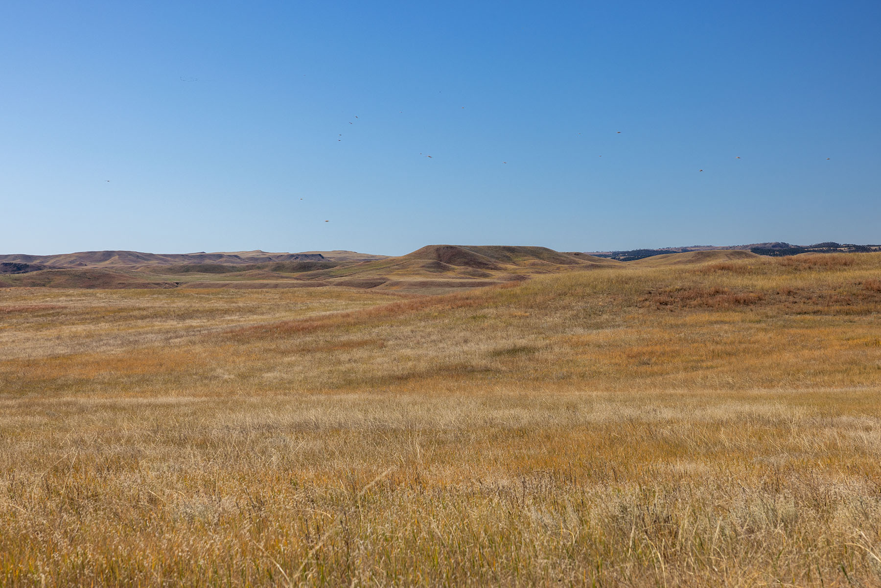 Dakota Partnership Ranch property picture 52 of 61