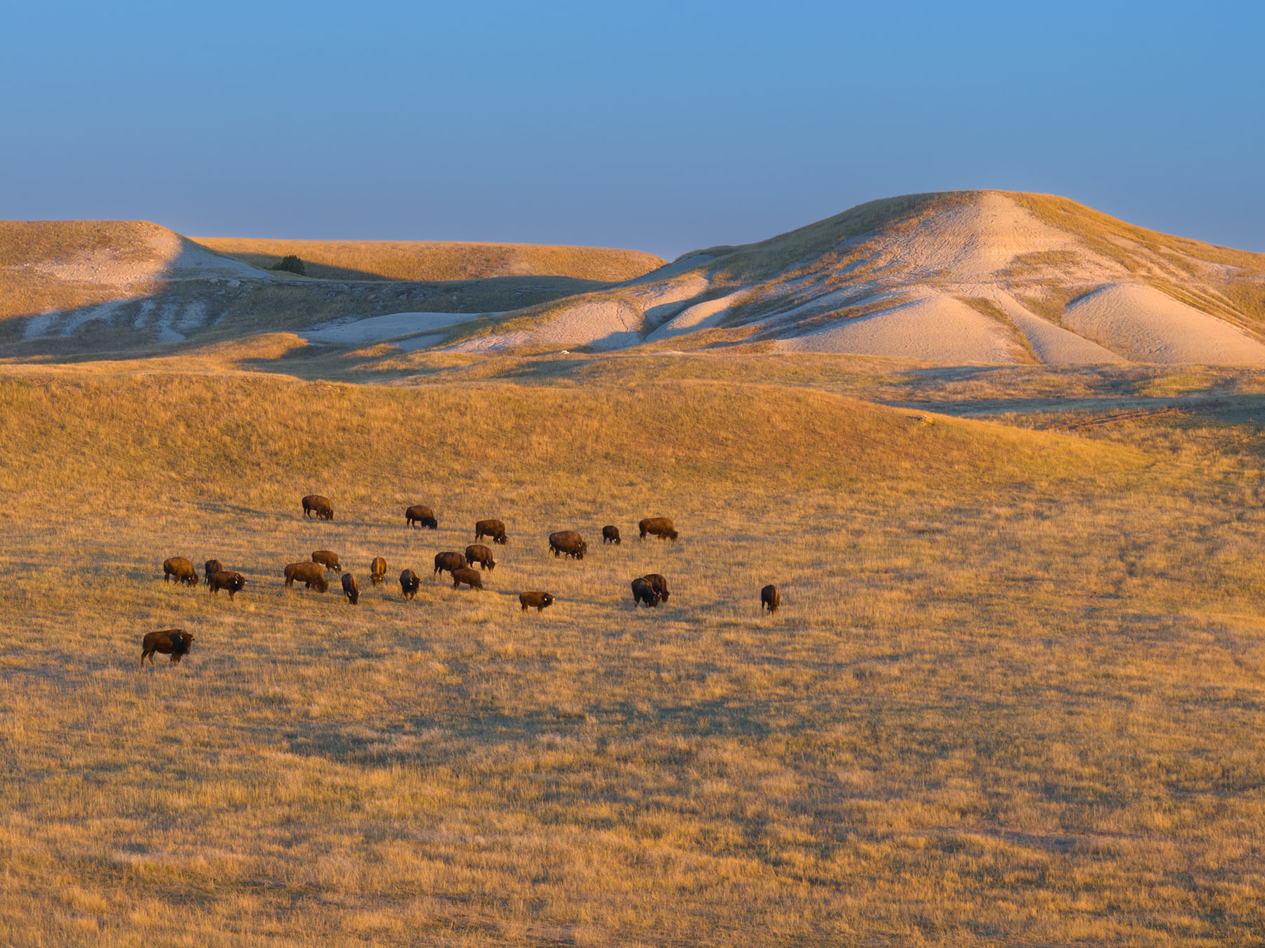 Dakota Partnership Ranch property picture 5 of 61