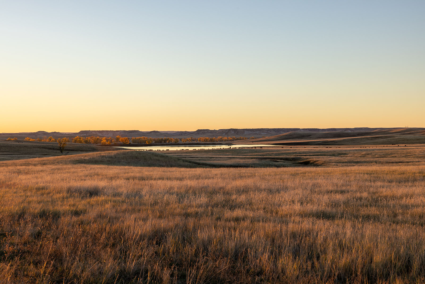 Dakota Partnership Ranch property picture 37 of 61