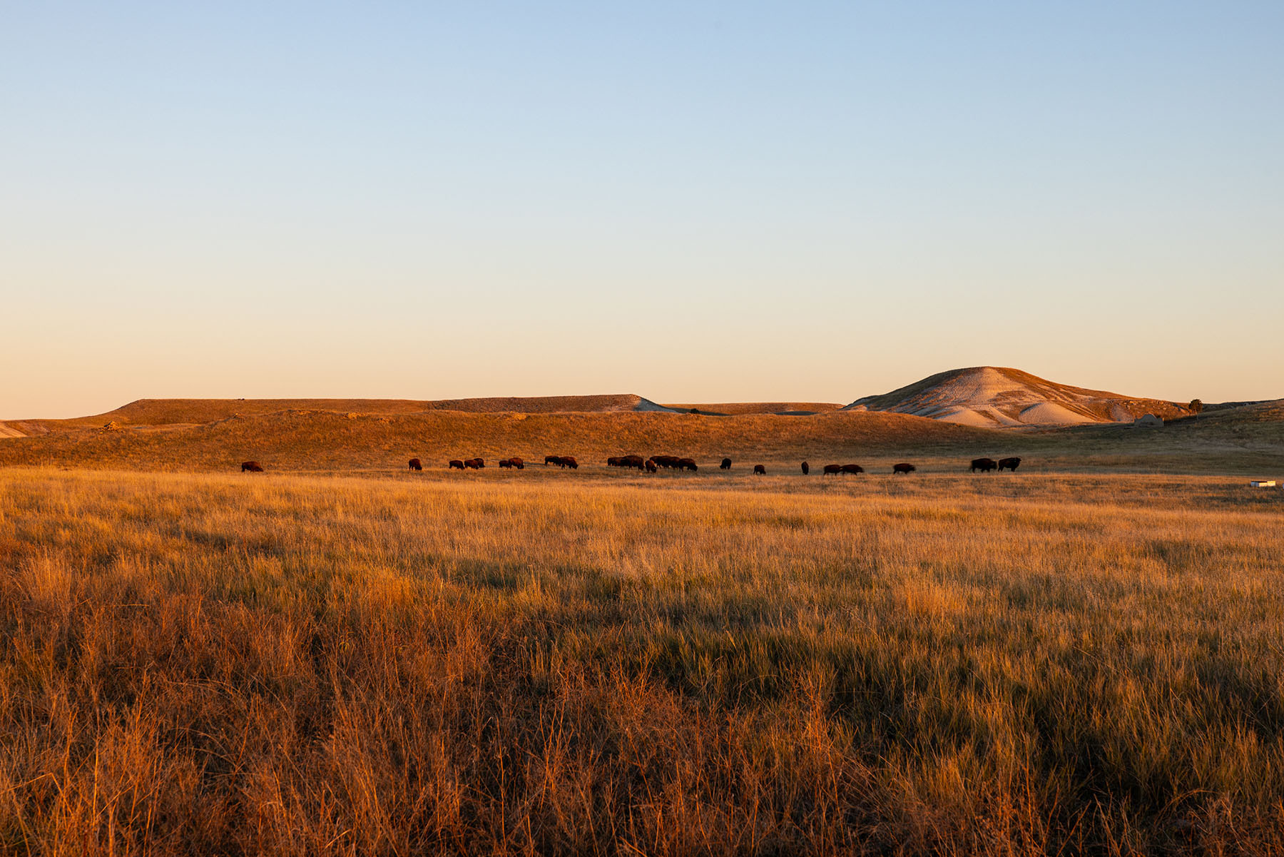 Dakota Partnership Ranch property picture 38 of 61