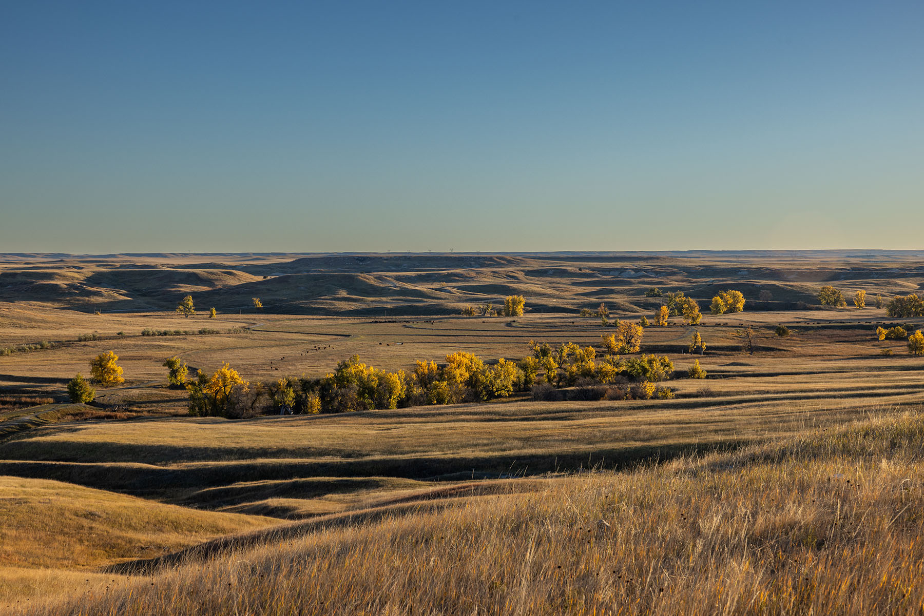Dakota Partnership Ranch property picture 31 of 61