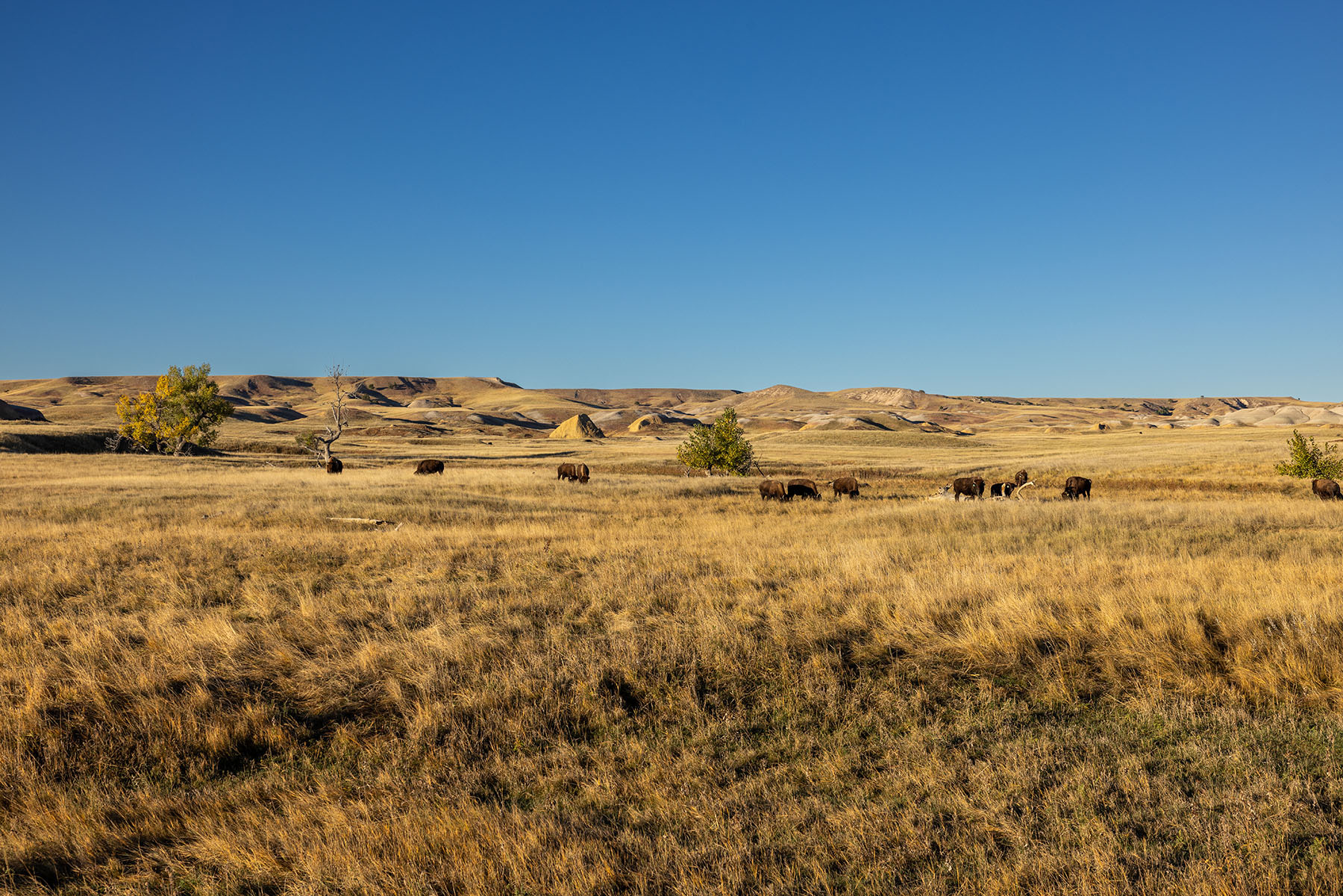 Dakota Partnership Ranch property picture 29 of 61