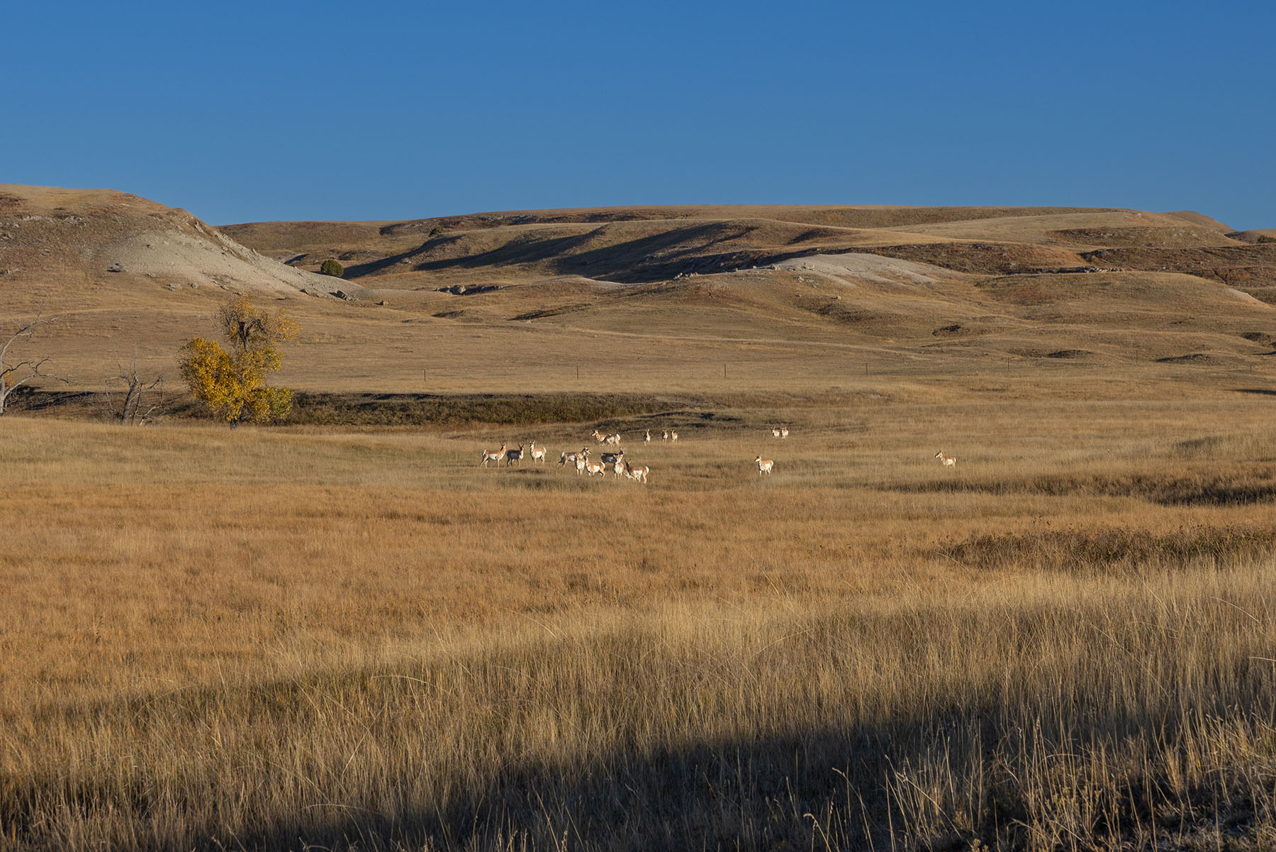 Dakota Partnership Ranch property picture 51 of 61