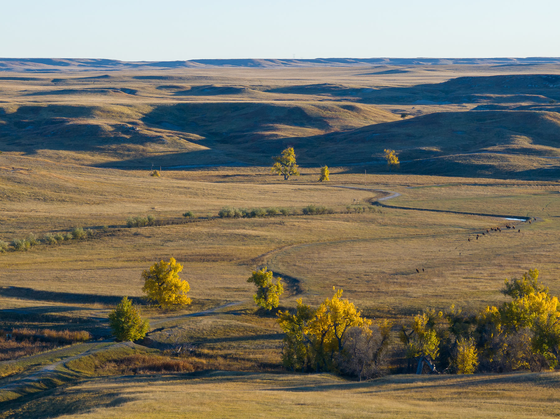 Dakota Partnership Ranch property picture 16 of 61