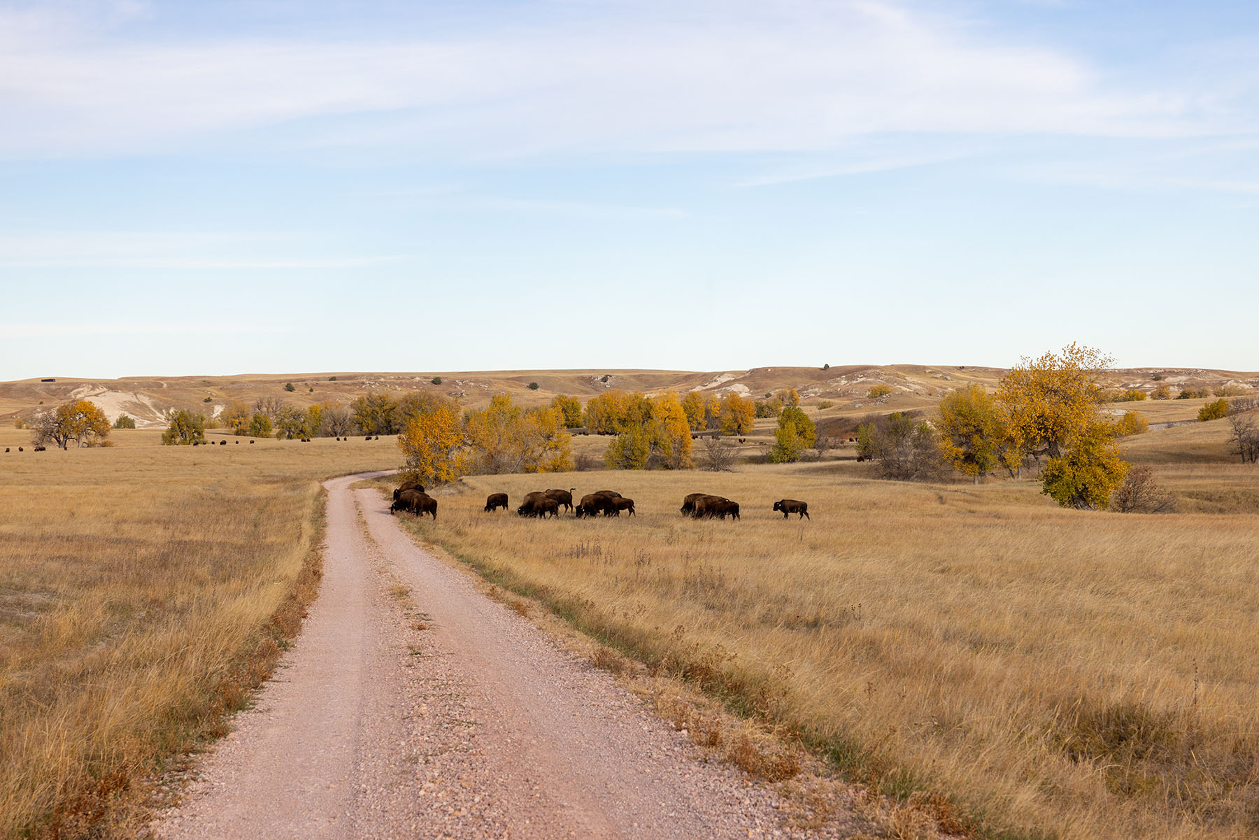 Dakota Partnership Ranch property picture 20 of 61