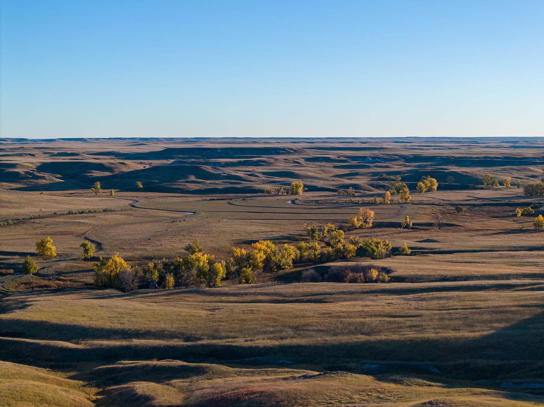 Dakota Partnership Ranch property picture 6 of 61