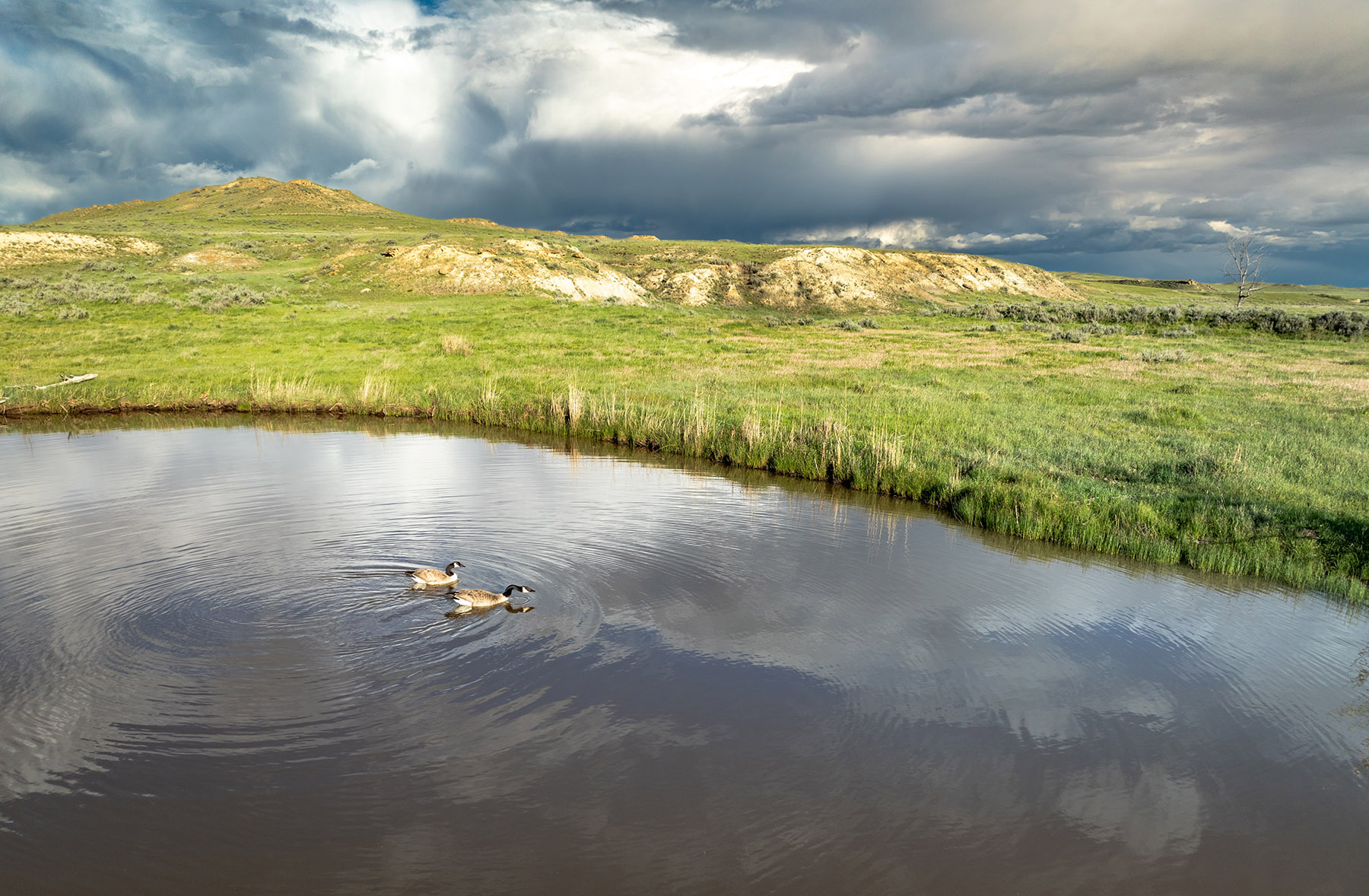 Two Furrow Ranch property picture 19 of 44