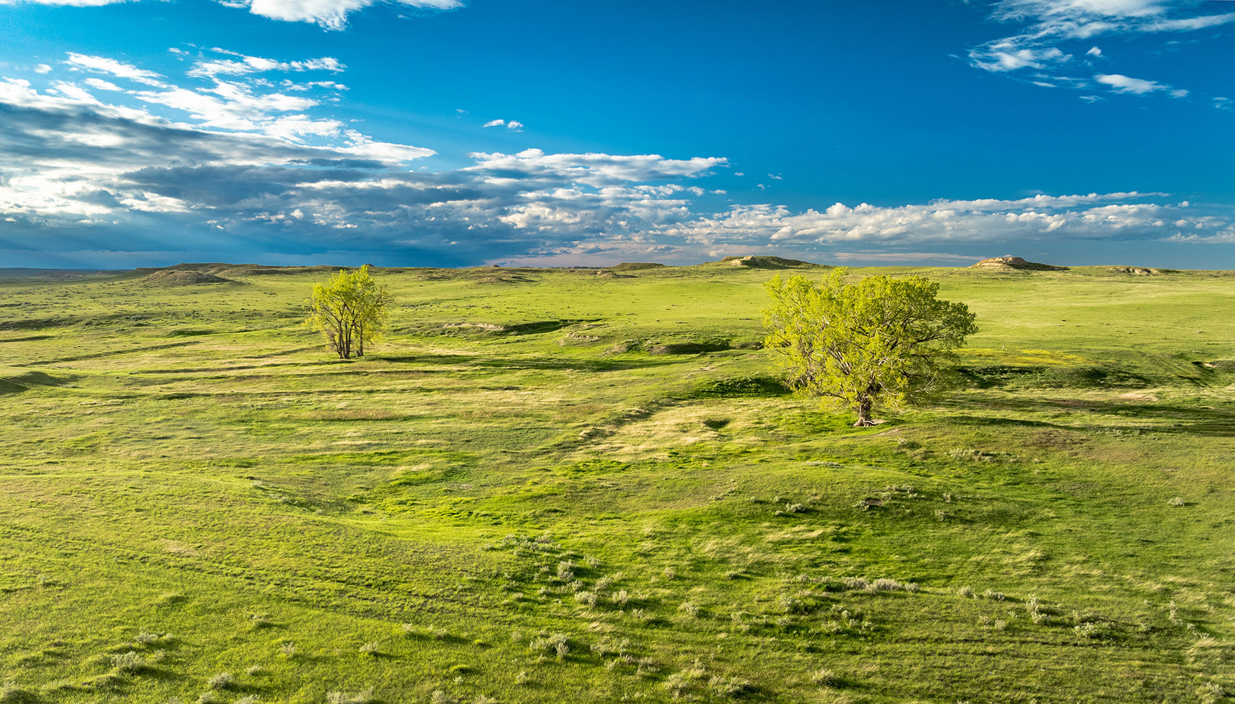 Two Furrow Ranch property picture 30 of 44