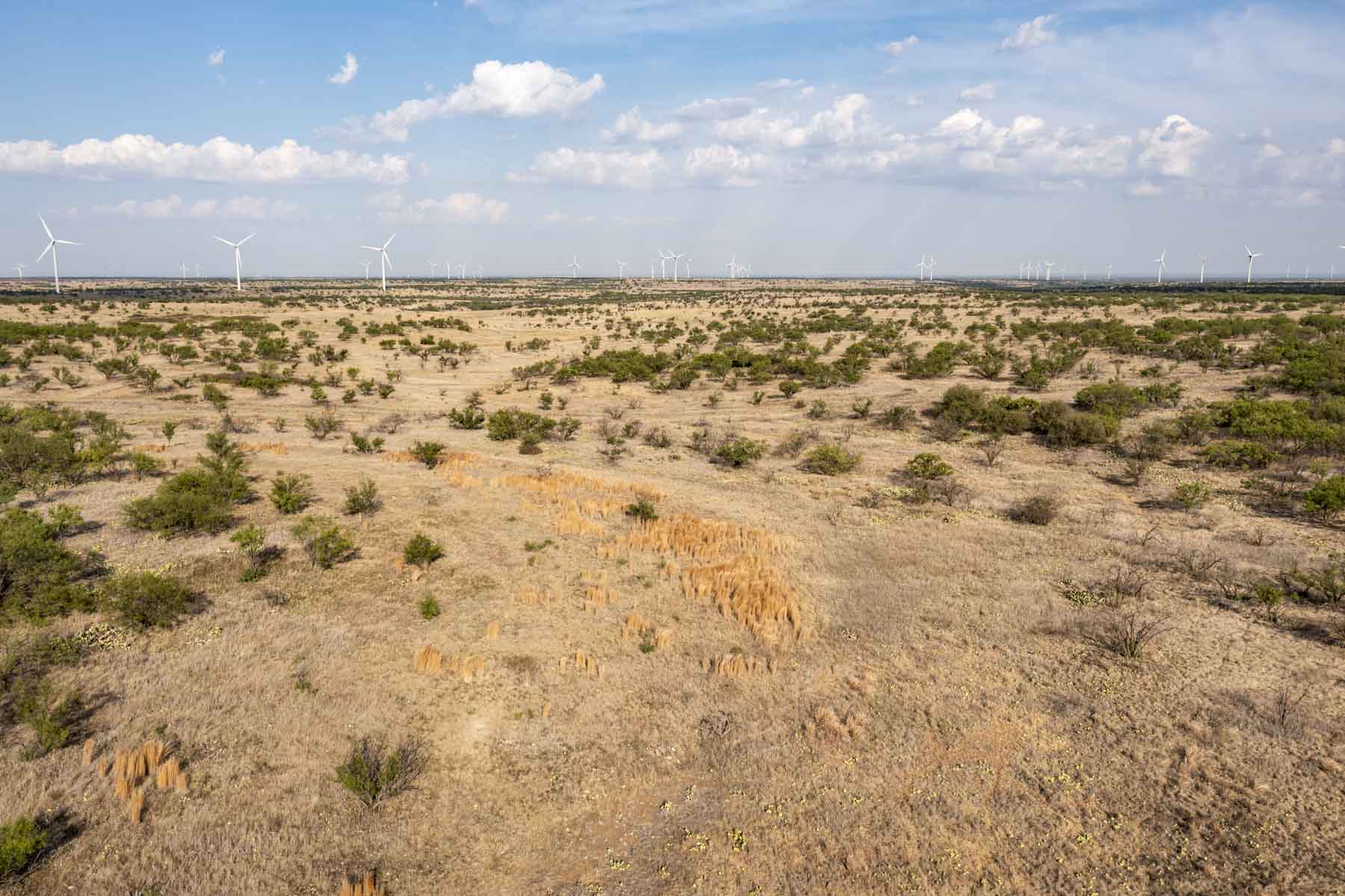 Crooked Tree Ranch property picture 57 of 68