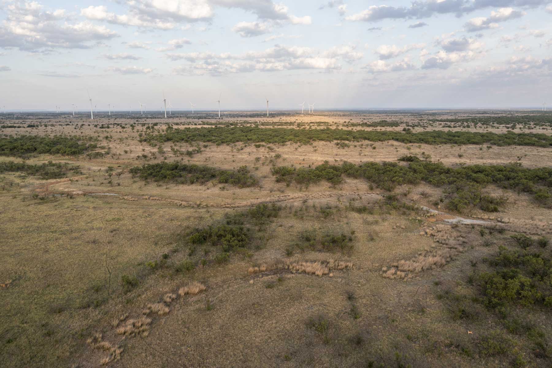 Crooked Tree Ranch property picture 28 of 68