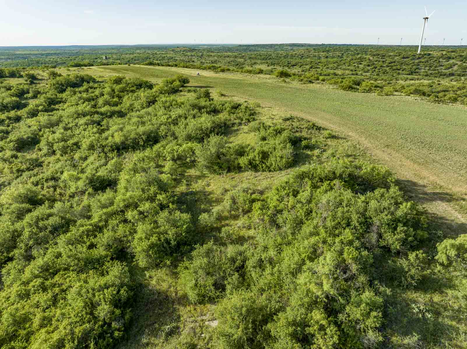 Crooked Tree Ranch property picture 34 of 68